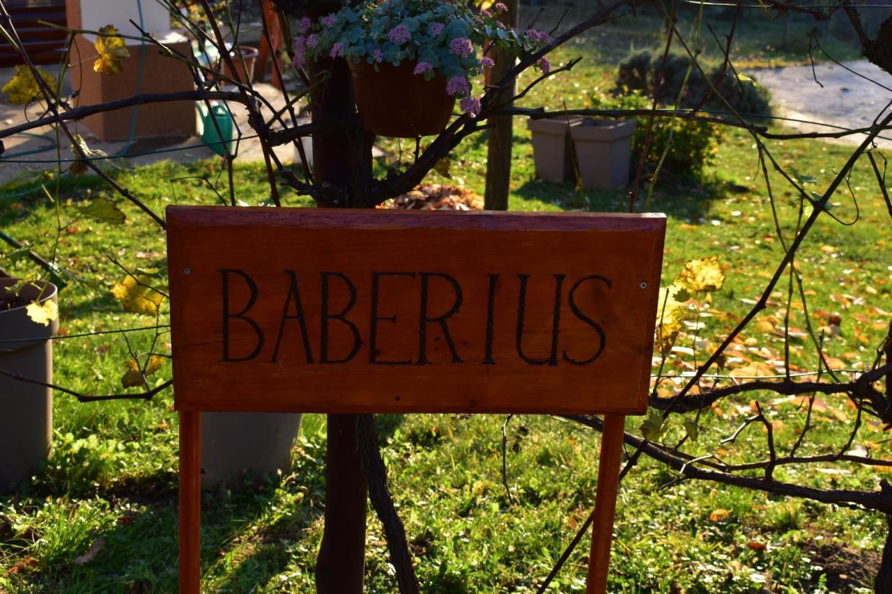 Вілла Baberius Екстер'єр фото